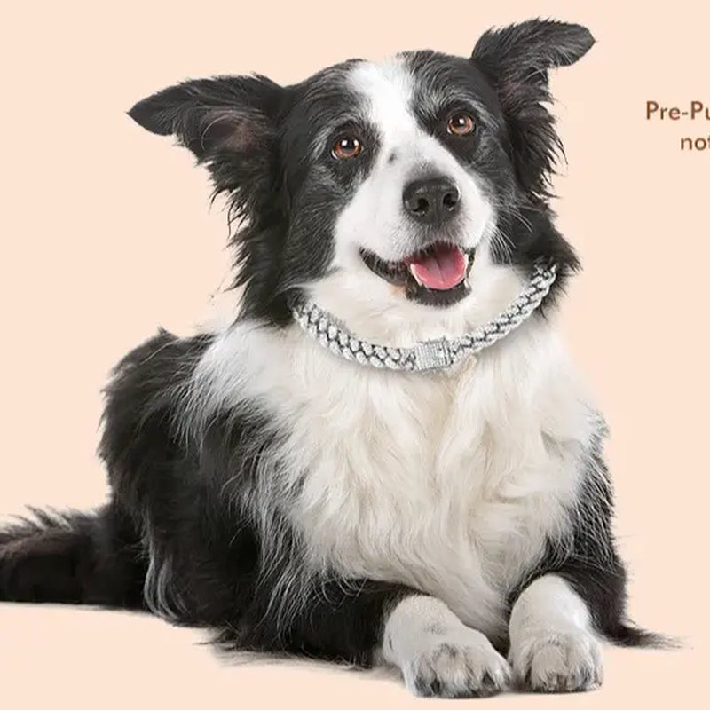 Premium Cuban Link Dog Collar – Elegant Rhinestone Metal Chain for Pets