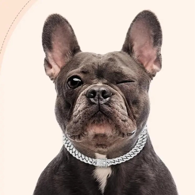 Premium Cuban Link Dog Collar – Elegant Rhinestone Metal Chain for Pets