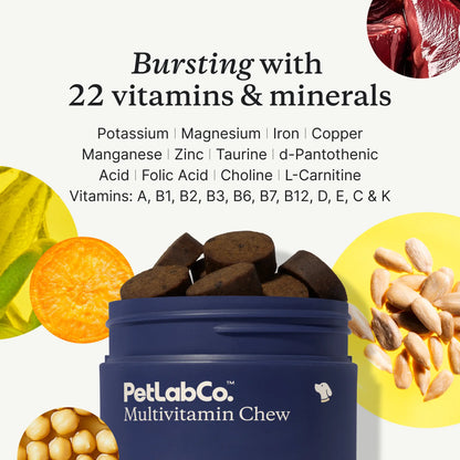 Premium Daily Dog Multivitamin – 22 Essential Vitamins & Minerals for Longevity & Vitality