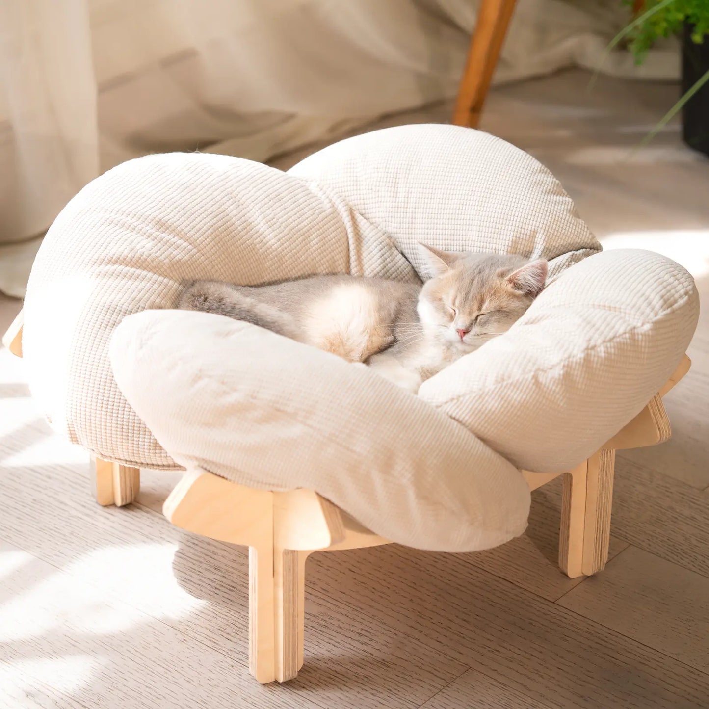 Premium Elevated Pet Lounge – Modern Petal-Design Wooden Bed for Cats & Small Dogs