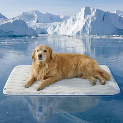 Premium Instant-Cooling Pet Mat – Advanced Washable Summer Bed for Dogs & Cats