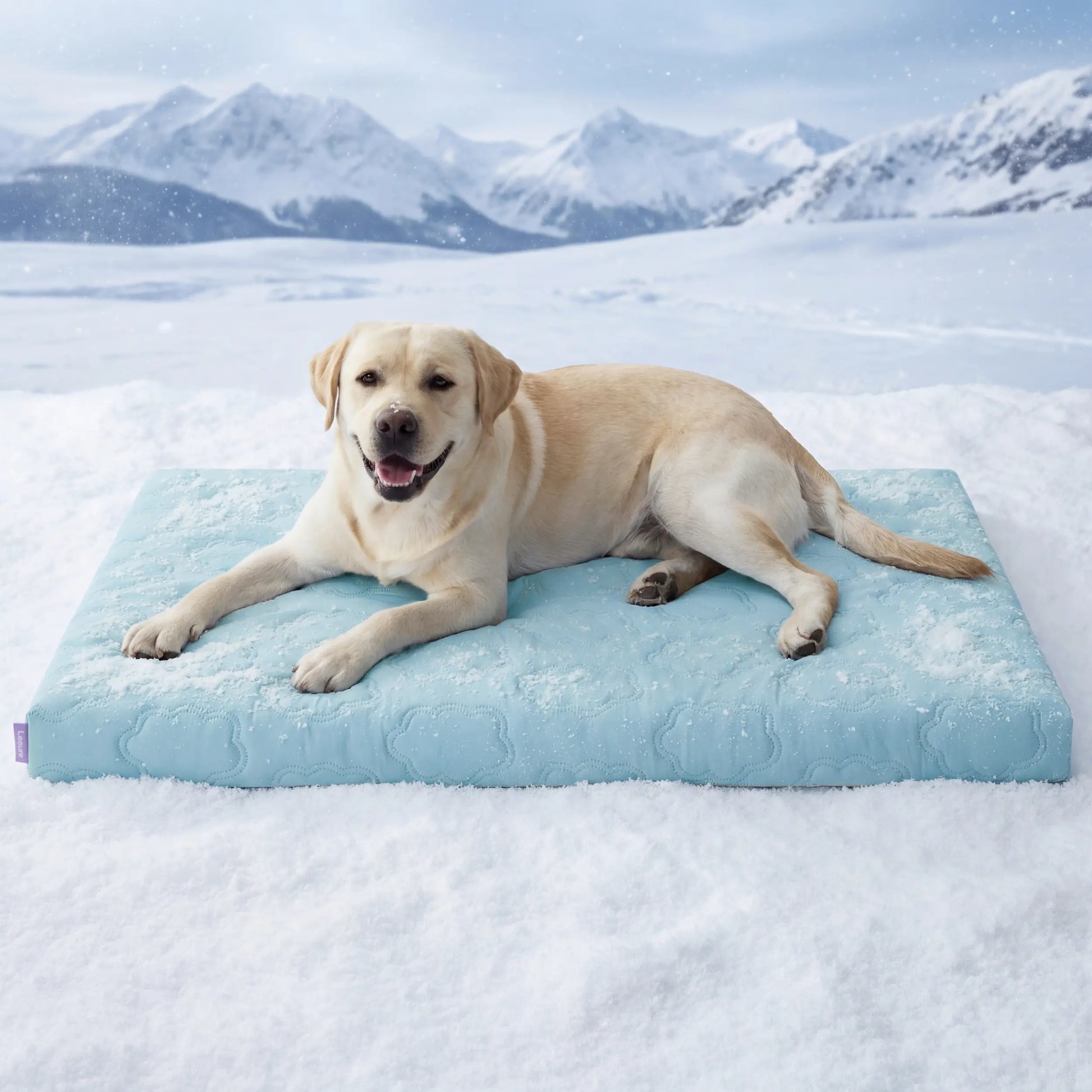 Premium Instant-Cooling Pet Mat – Advanced Washable Summer Bed for Dogs & Cats