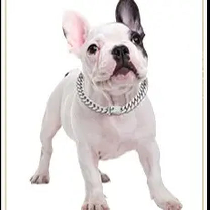 Premium Cuban Link Dog Collar – Elegant Rhinestone Metal Chain for Pets