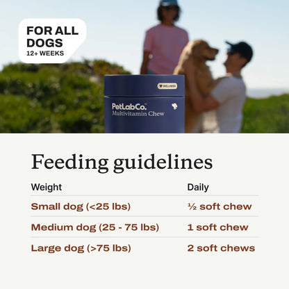 Premium Daily Dog Multivitamin – 22 Essential Vitamins & Minerals for Longevity & Vitality