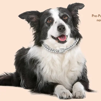Premium Cuban Link Dog Collar – Elegant Rhinestone Metal Chain for Pets