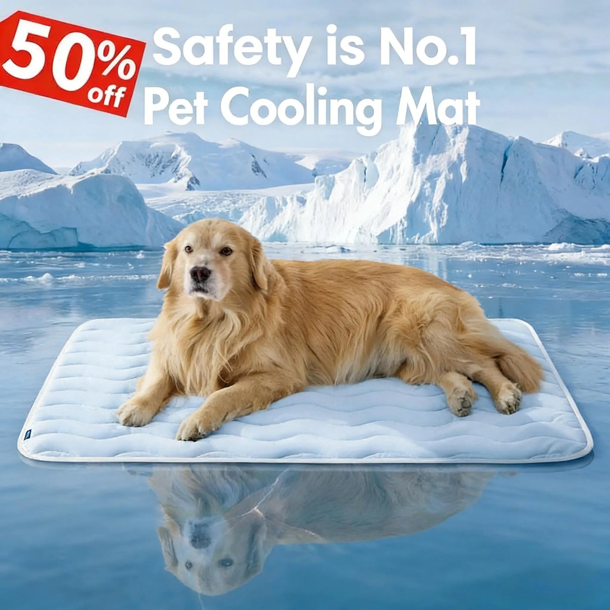 Premium Instant-Cooling Pet Mat – Advanced Washable Summer Bed for Dogs & Cats