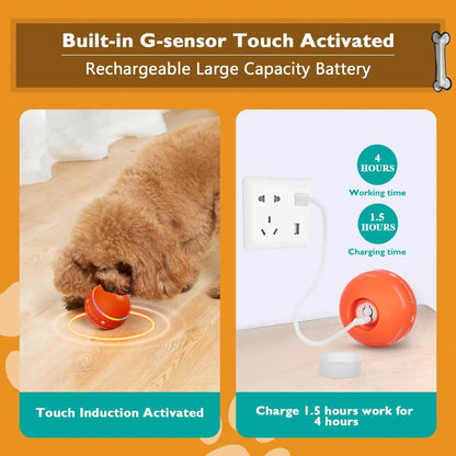 Smart Motion-Activated Dog Ball – Interactive Automatic Rolling & Bouncing Toy