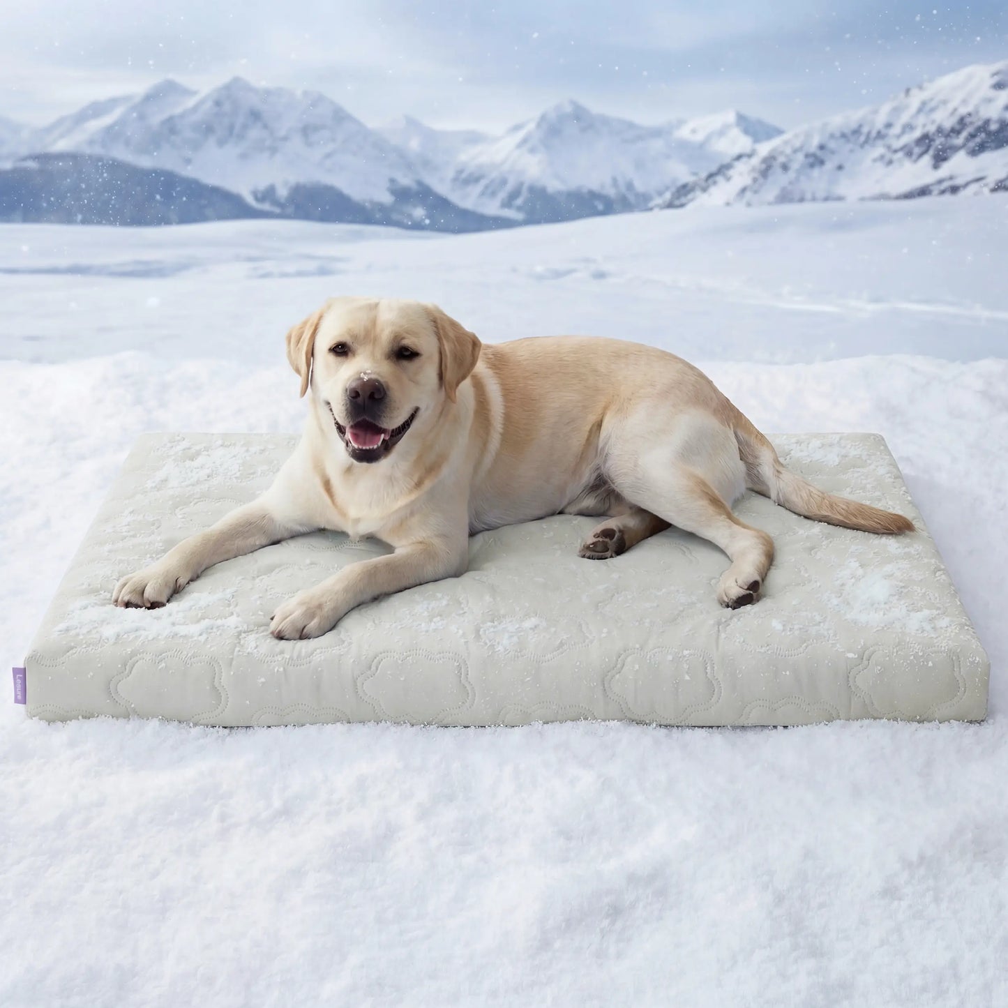 Premium Instant-Cooling Pet Mat – Advanced Washable Summer Bed for Dogs & Cats