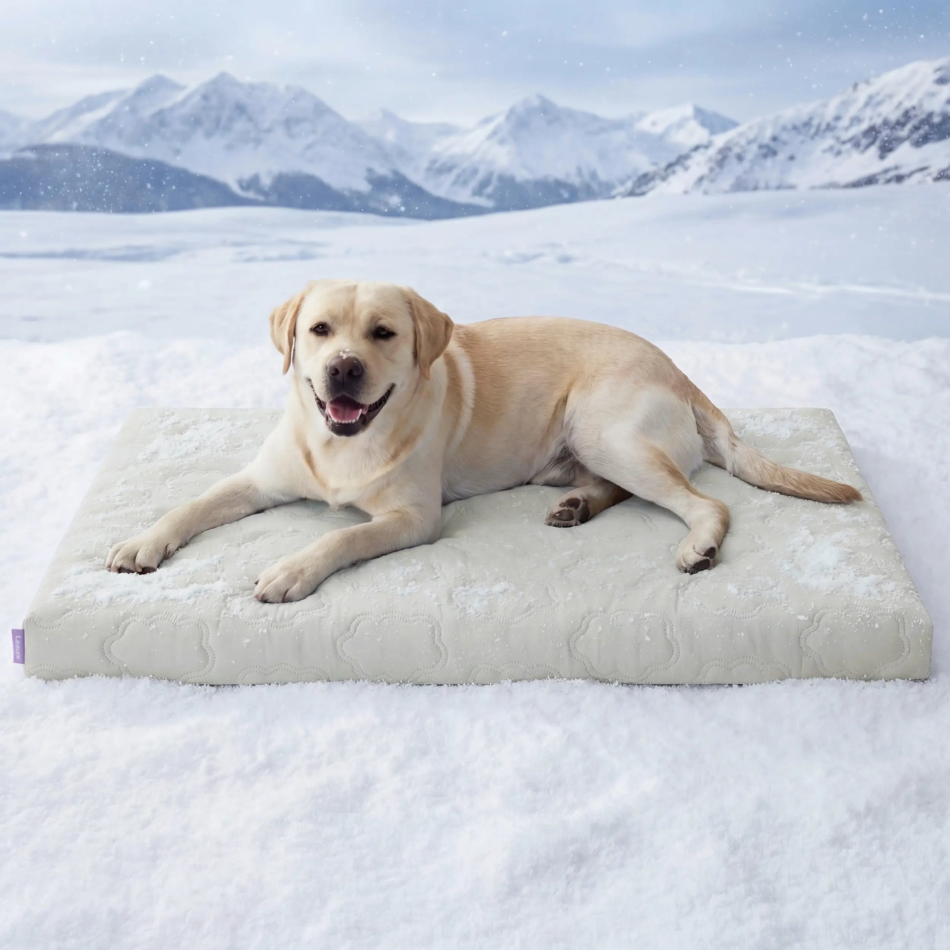 Premium Instant-Cooling Pet Mat – Advanced Washable Summer Bed for Dogs & Cats