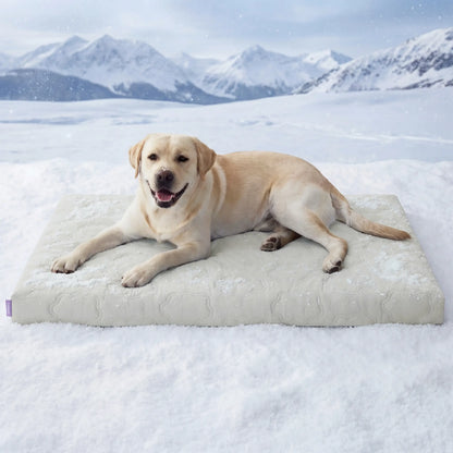 Premium Instant-Cooling Pet Mat – Advanced Washable Summer Bed for Dogs & Cats
