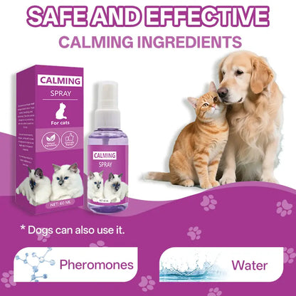 Premium Cat Calming Spray – Advanced Pheromone Therapy for Travel Anxiety & Behavior Control